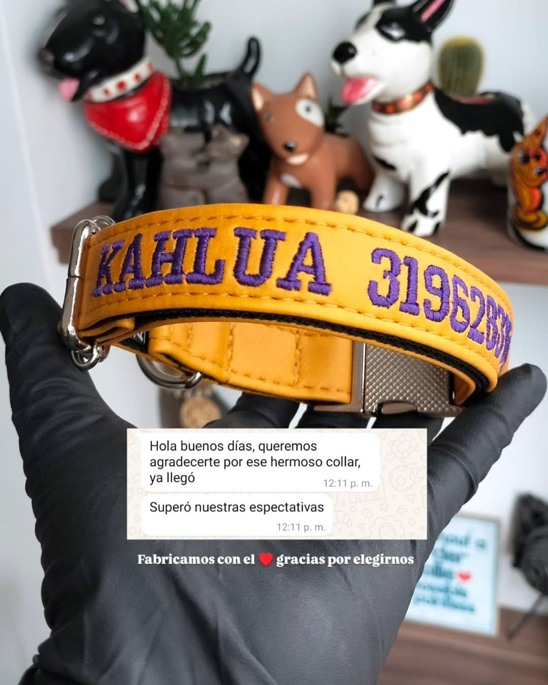 Testimonio collar personalizado